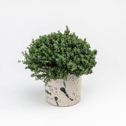Ceramic Candle